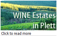 Wine Estates in Plettenberg Bay